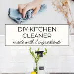 DIY Kitchen Cleaner