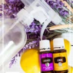 DIY Air Freshener Spray - make your own for pennies + no toxic chemicals like the store-bought air fresheners - DontMesswithMama.com