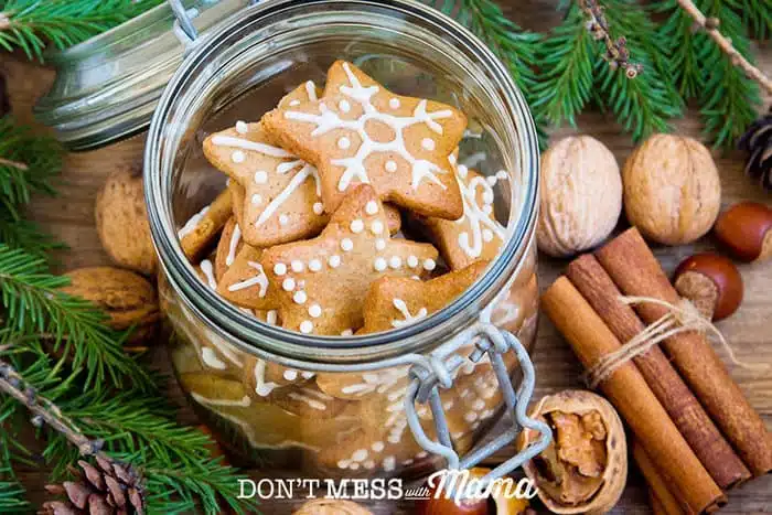 Closeup of gluten free christmas cookies in a jar with pine branches and spices 
