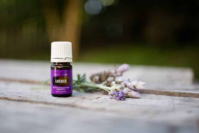 How to Order Young Living Essential Oils - DontMesswithMama.com