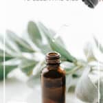 Beginner’s Guide to Essential Oils #essentialoils - DontMesswithMama.com