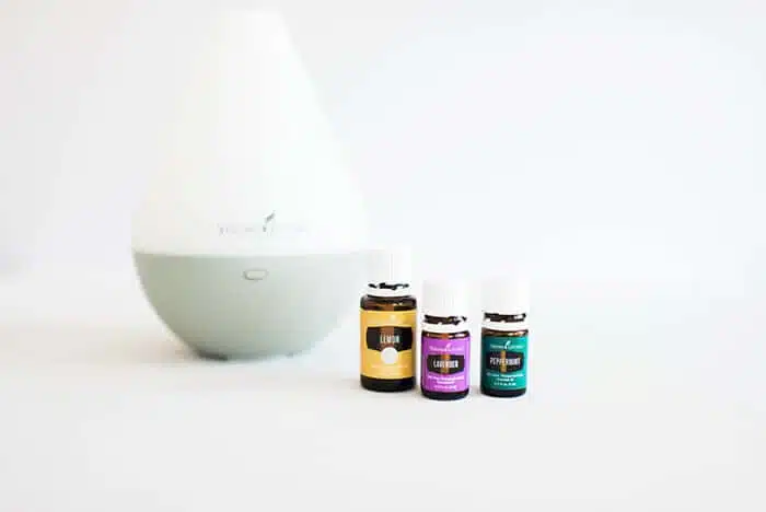 Closeup of a diffuser with bottles of essential oils 