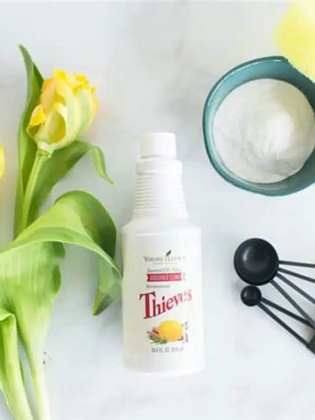 Clean Your Home with Thieves Household Cleaner