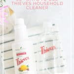 20 Ways to Clean Your Home with Thieves Household Cleaner - DontMesswithMama.com