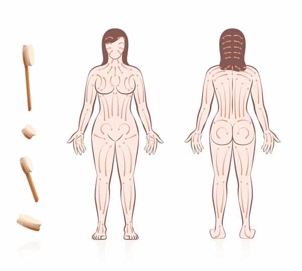 picture of a woman and areas to brush