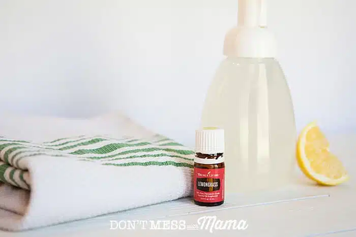 DIY Foaming Hand Soap With Essential Oils - Living Well Mom
