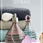 After You Poo Spray - the perfect bathroom air freshener after you #2 - DontMesswithMama.com
