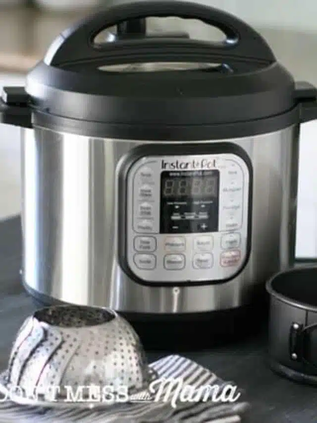 How to Use Instant Pot Buttons
