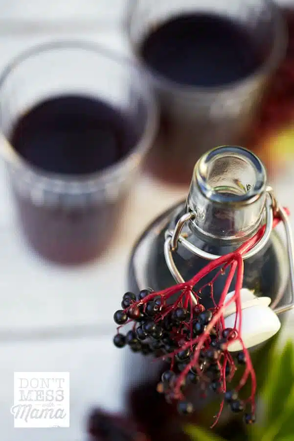 Closeup of elderberries and bottle of elderberry syrup