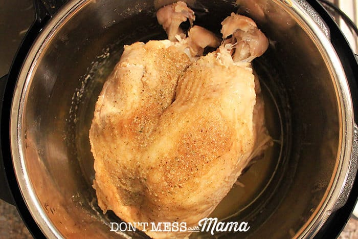 Closeup of turkey in an Instant Pot