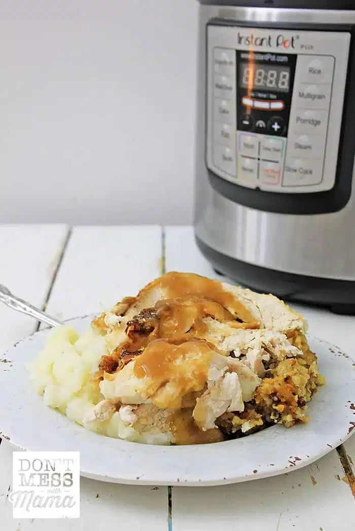 Closeup of turkey and mashed potatoes on a plate next to an Instant Pot