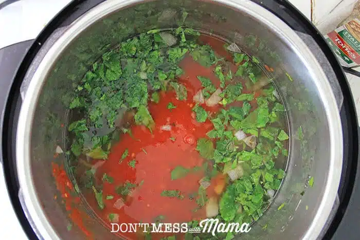 Tomato puree and herbs in an Instant Pot