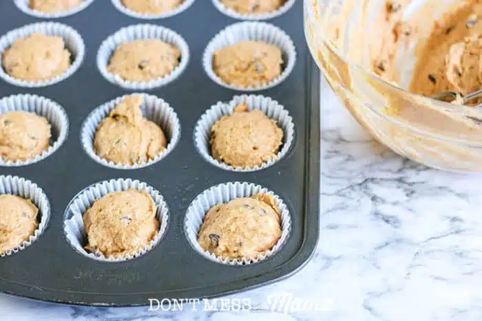 Gluten-Free Pumpkin Chocolate Chip Muffins - Don't Mess with Mama