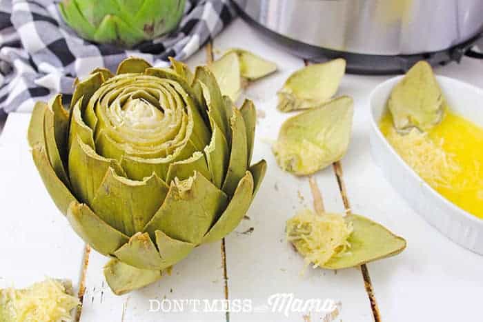 cooked artichoke next to a bowl of melted butter