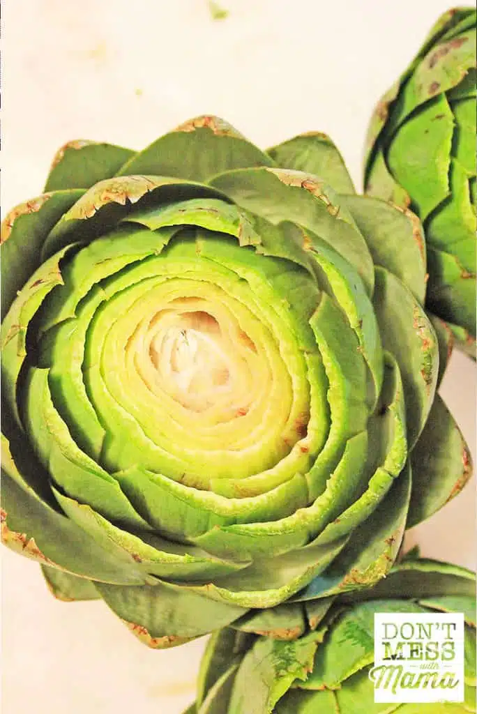 uncooked artichoke with the top cut off