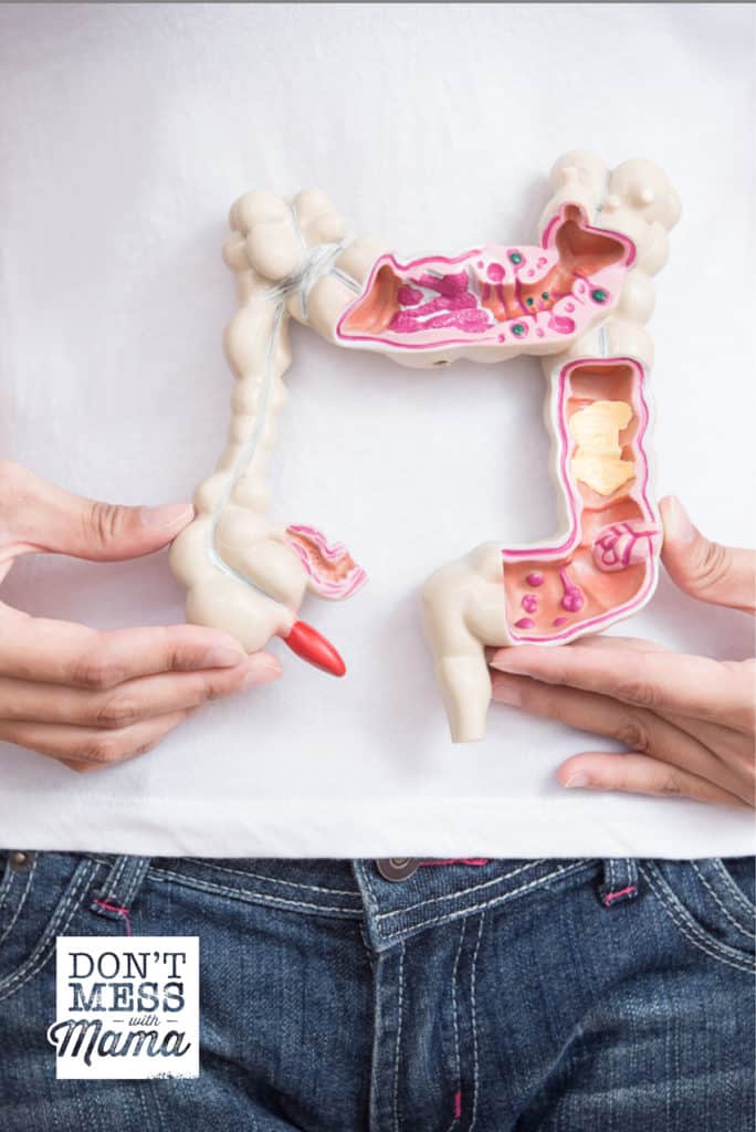 woman holding model of digestive system