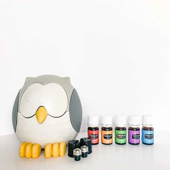 Feather the Owl diffuser with a set of KidScents essential oils and roller fitments on a table