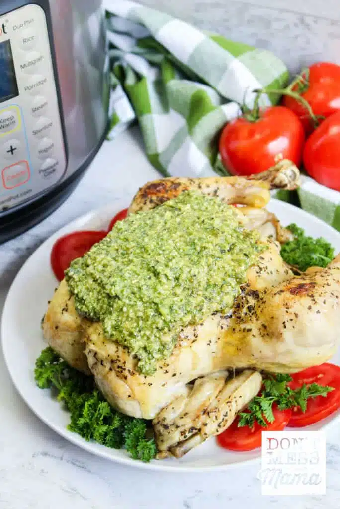 chicken covered in pesto on plate with instant pot