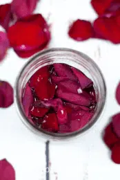 jar of red rose petals and witch hazel