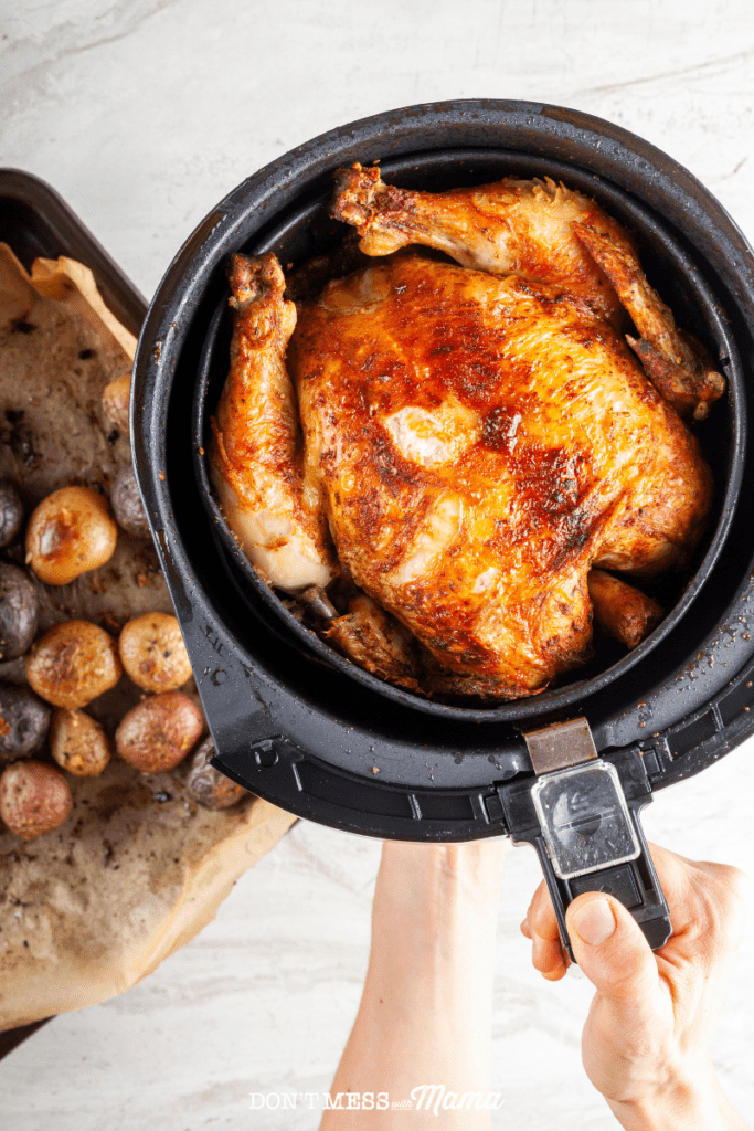 hand holding an air fryer container with baked chicken