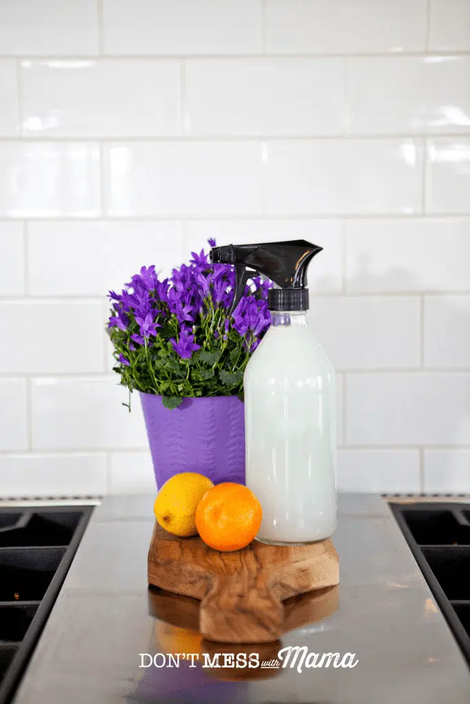 purple flowers in purple pot with glass bottle cleaning product orannge and lemon