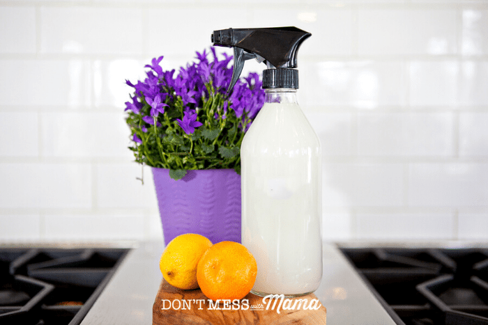 purple flowers in purple pot with glass bottle cleaning product orange and lemon