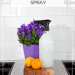 DIY Degreasing Spray pin