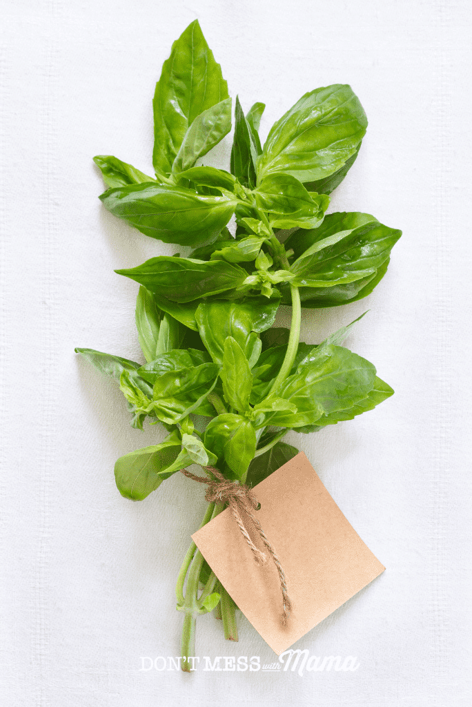 bunch of basil tied with string