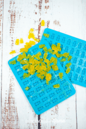 homemade yellow gummy bears in blue gummy bear mold