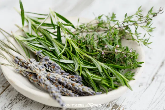 fresh herbs like lavender, rosemary, and thyme in a white bowl on a table