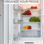 clean your fridge pin