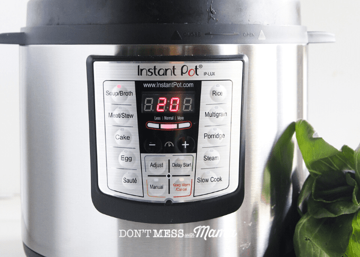close up of instant pot buttons