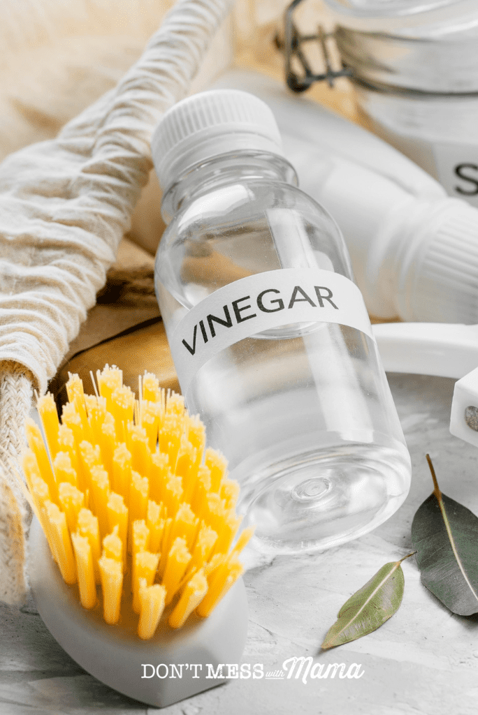 close up of vinegar and yellow brush