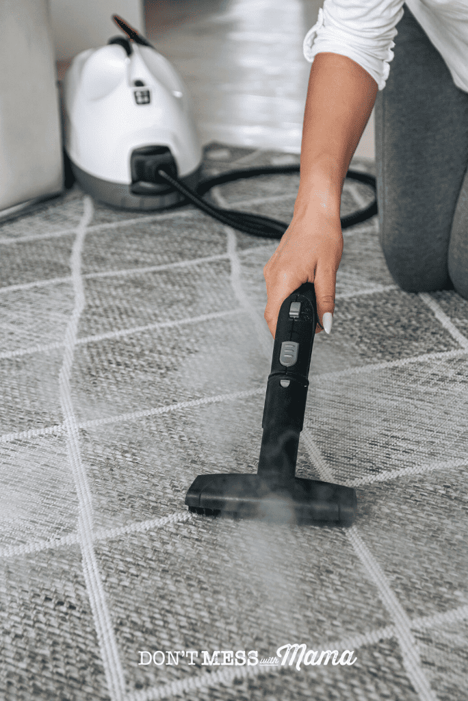 woman with steam cleaner on grey carpet