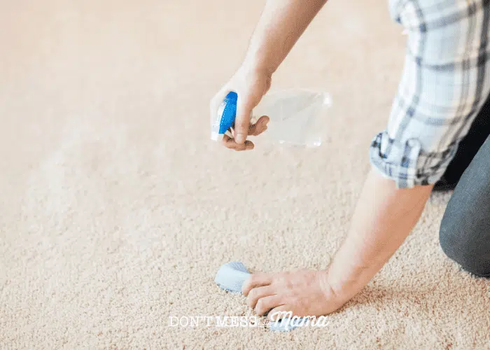 woman in blue shirt cleaning carpet