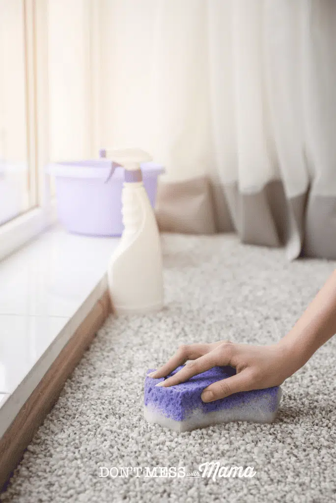 hand holding purple sponge on carpet with cleaning solution in background