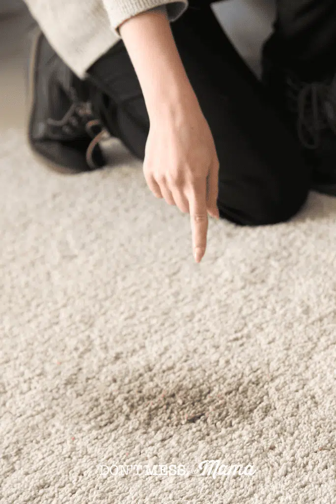 hand pointing to stain on carpet