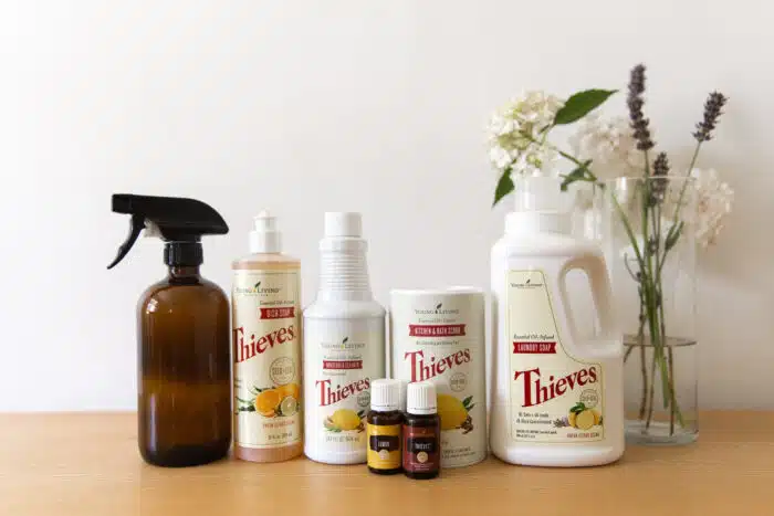 Link to Thieves Natural Cleaning Kit