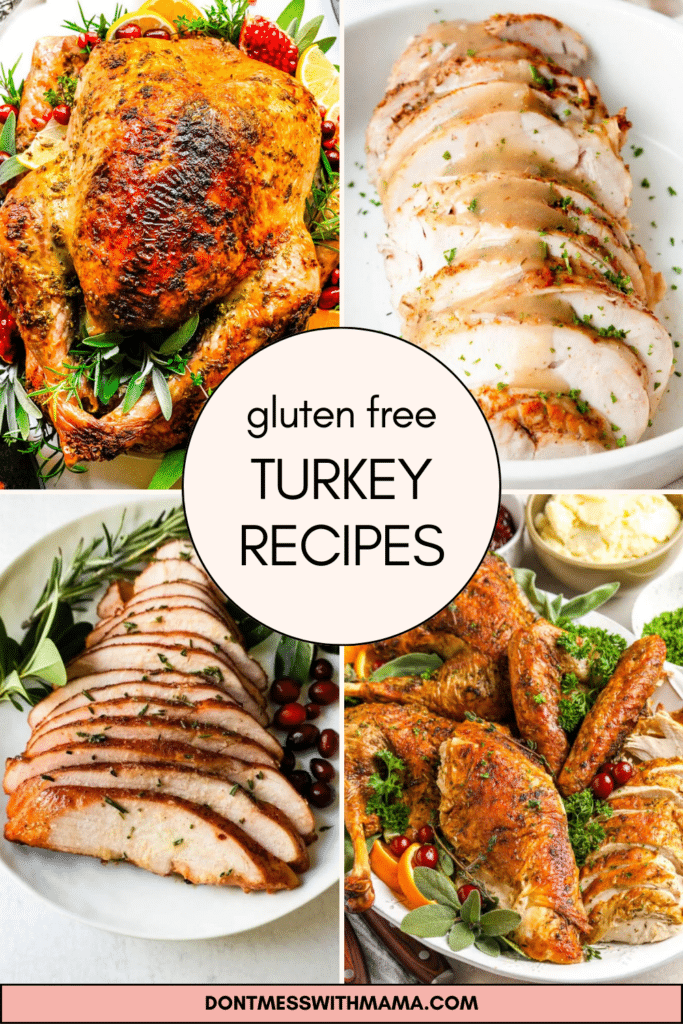 Gluten free thanksgiving recipes - turkey 
